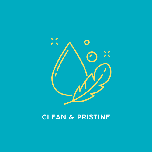 Clean & Pristine logo